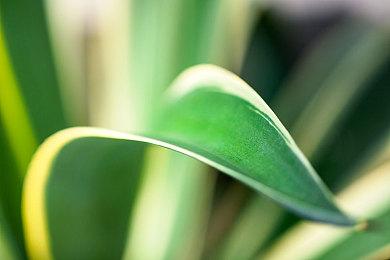 RPG制作系列新作《RPG Maker Unite》再次延期 年内发售