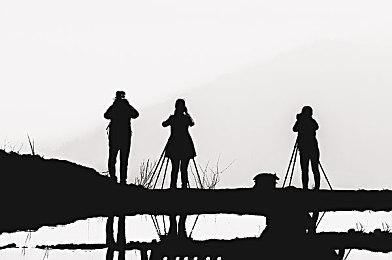 Epic喜加一：《家园复刻合集》和《断钢》免费领取